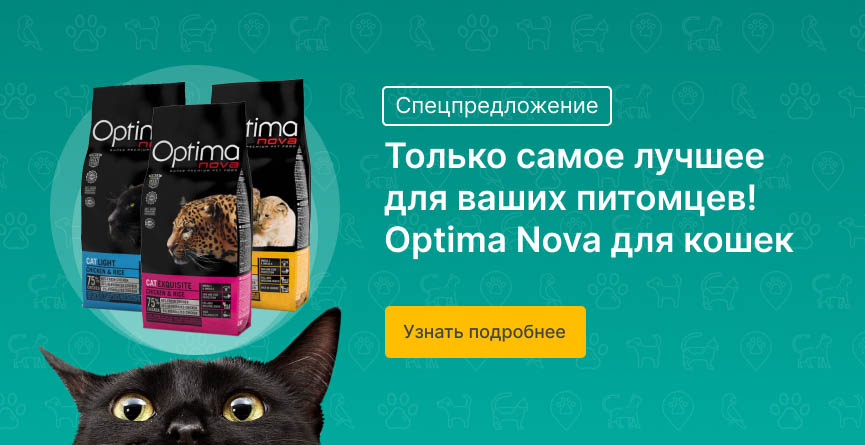 Vinaora Nivo Slider 3.x